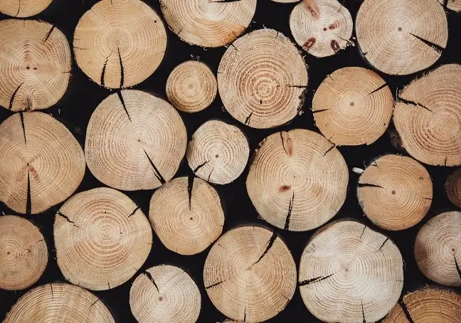 5 Types OF wood Best For laser engraving 